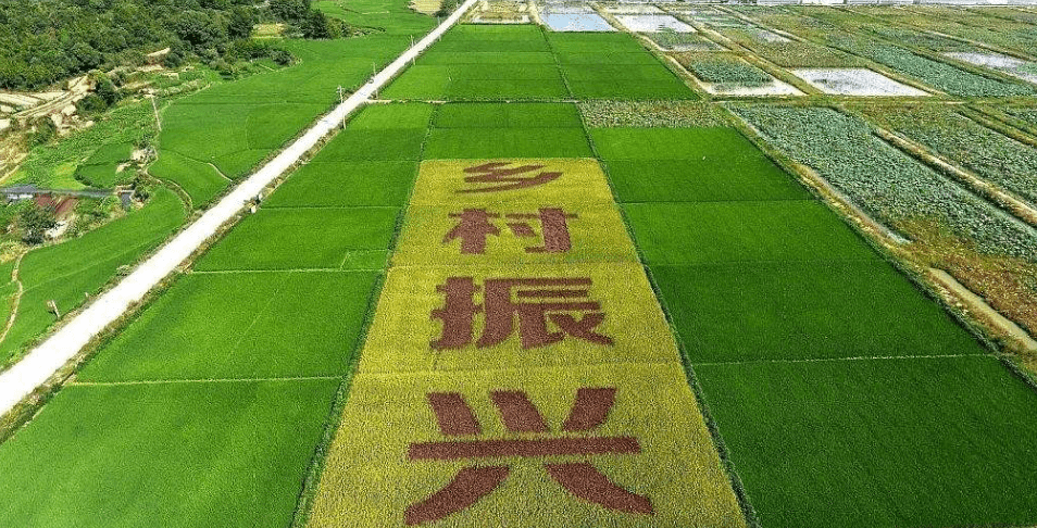 人民日?qǐng)?bào)“鄉(xiāng)村振興計(jì)劃”為何看上他？_直播_行業(yè)_農(nóng)產(chǎn)品